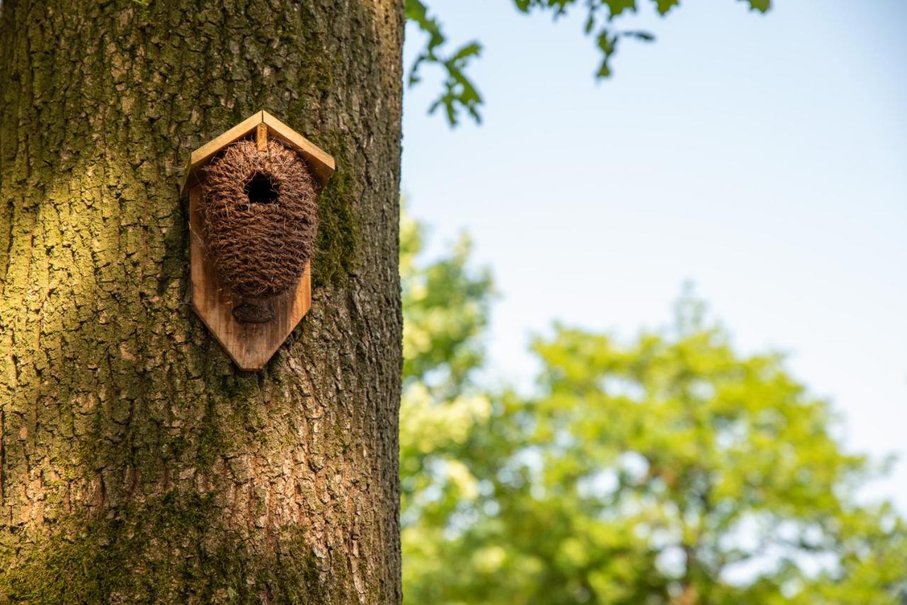Nature Hideout At Veluwe Nature Park Putten Zewnętrze zdjęcie